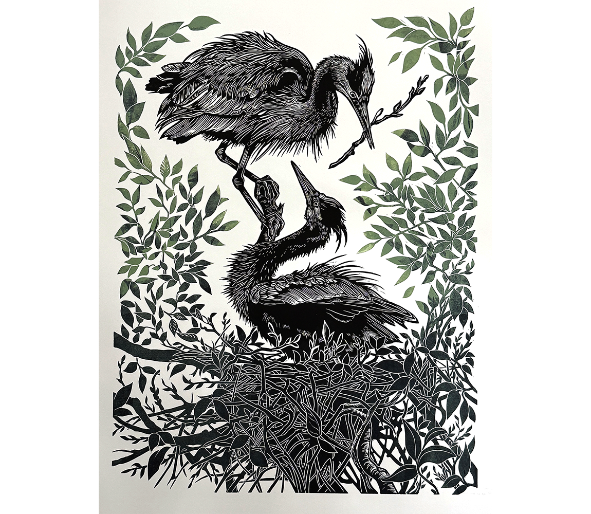 Nesting Herons - Kathy Anderson